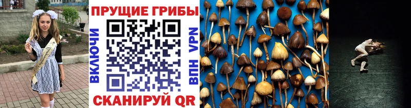 наркота  Берёзовский  Псилоцибиновые грибы мицелий 